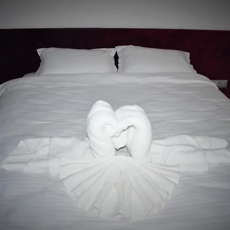 Pensiunea Ober Guest house Brasov