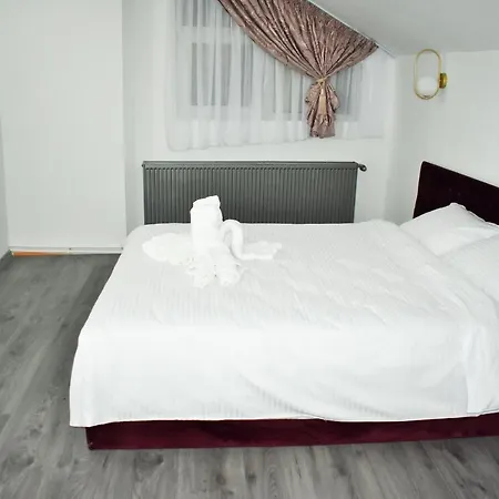 Guest house Pensiunea Ober *