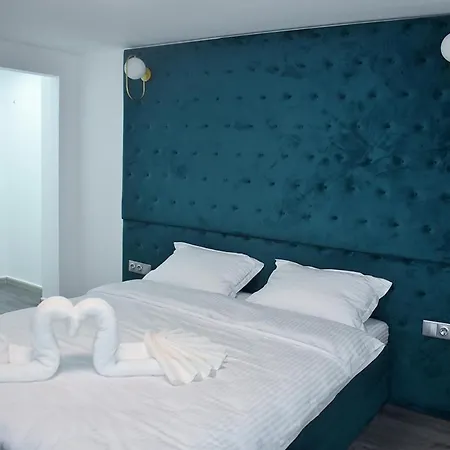 Guest house Pensiunea Ober