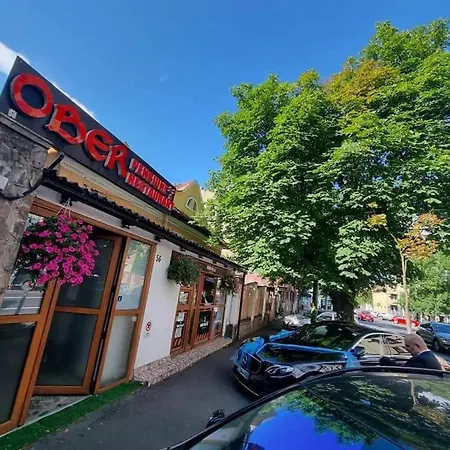 Guest house Pensiunea Ober
