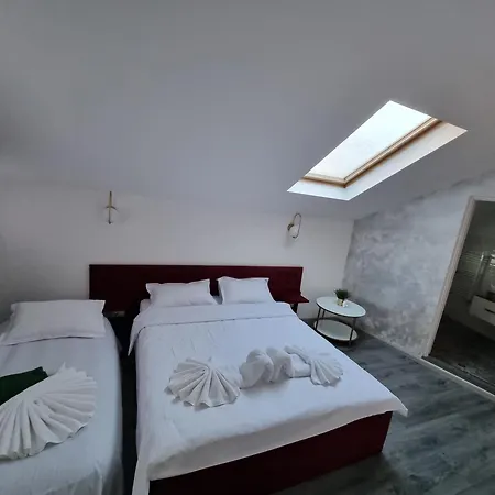 Guest house Pensiunea Ober