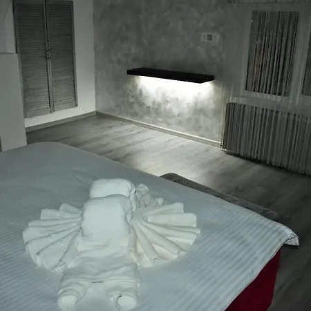 Guest house Pensiunea Ober *