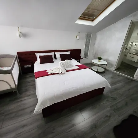 Guest house Pensiunea Ober